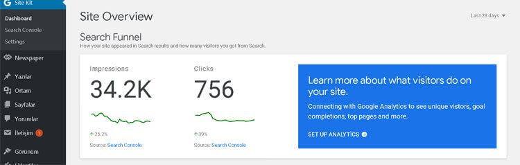 google site kit search console